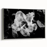 Hibiscus in Monochrome - Fine Art Photography Canvas Prints