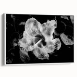 Hibiscus in Monochrome - Fine Art Photography Canvas Prints