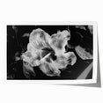 Hibiscus in Monochrome - Fine Art Photography Canvas Prints