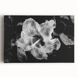 Hibiscus in Monochrome - Fine Art Photography Canvas Prints
