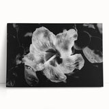 Hibiscus in Monochrome - Fine Art Photography Canvas Prints
