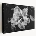 Hibiscus in Monochrome - Fine Art Photography Canvas Prints