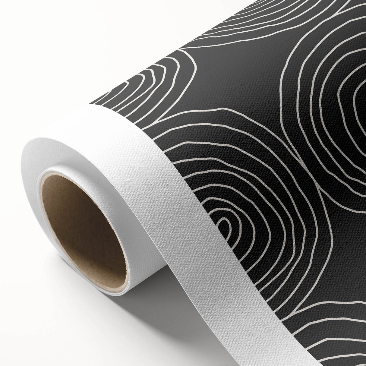 Modern Abstract Wall Art - Black and White Spiral Geometric Print