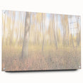 Tranquil Nature Canvas Prints – Rainy Forest Through Glass