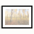 Tranquil Nature Canvas Prints – Rainy Forest Through Glass