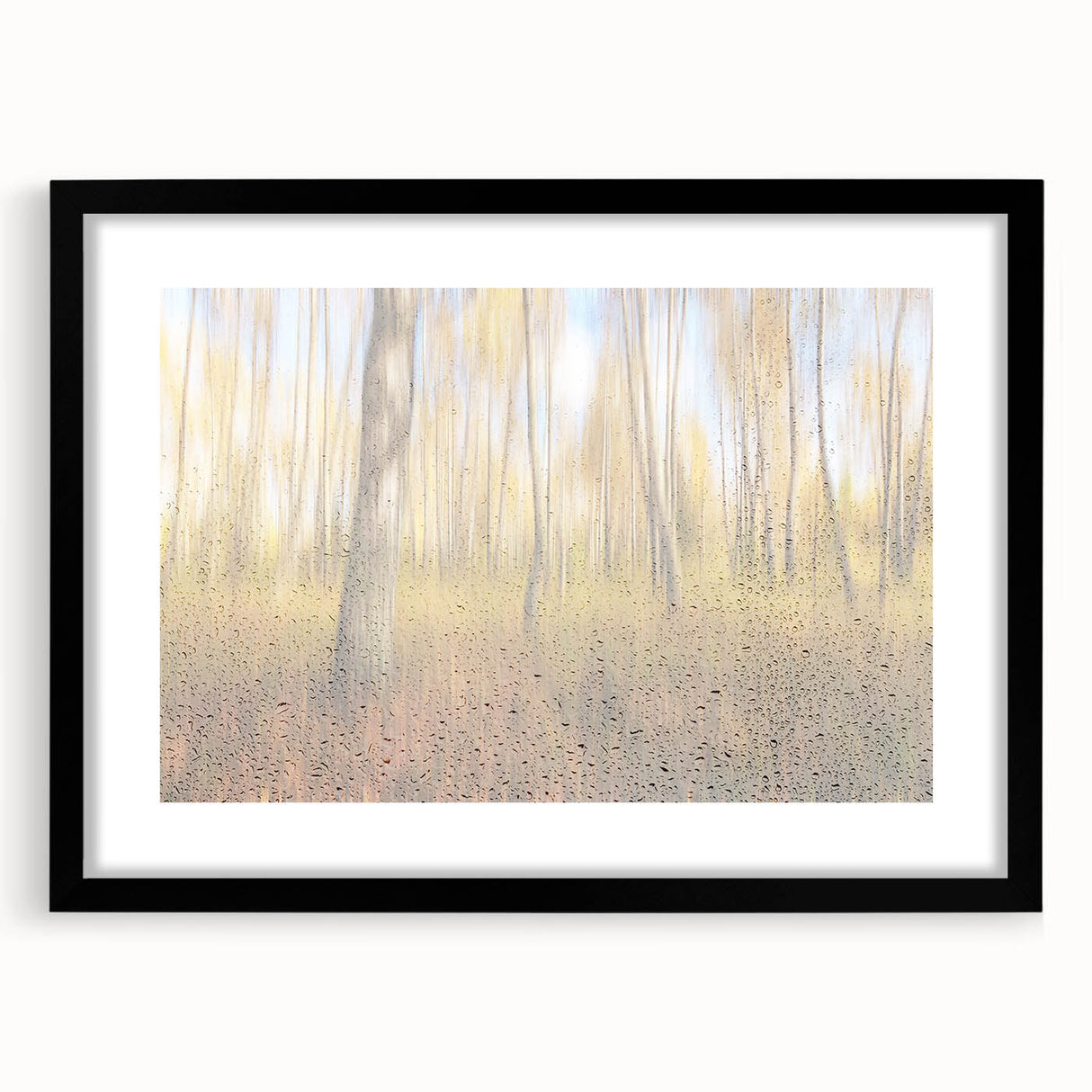 Tranquil Nature Canvas Prints – Rainy Forest Through Glass