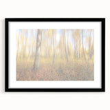 Tranquil Nature Canvas Prints – Rainy Forest Through Glass