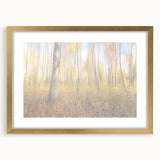 Tranquil Nature Canvas Prints – Rainy Forest Through Glass