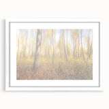 Tranquil Nature Canvas Prints – Rainy Forest Through Glass
