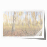 Tranquil Nature Canvas Prints – Rainy Forest Through Glass