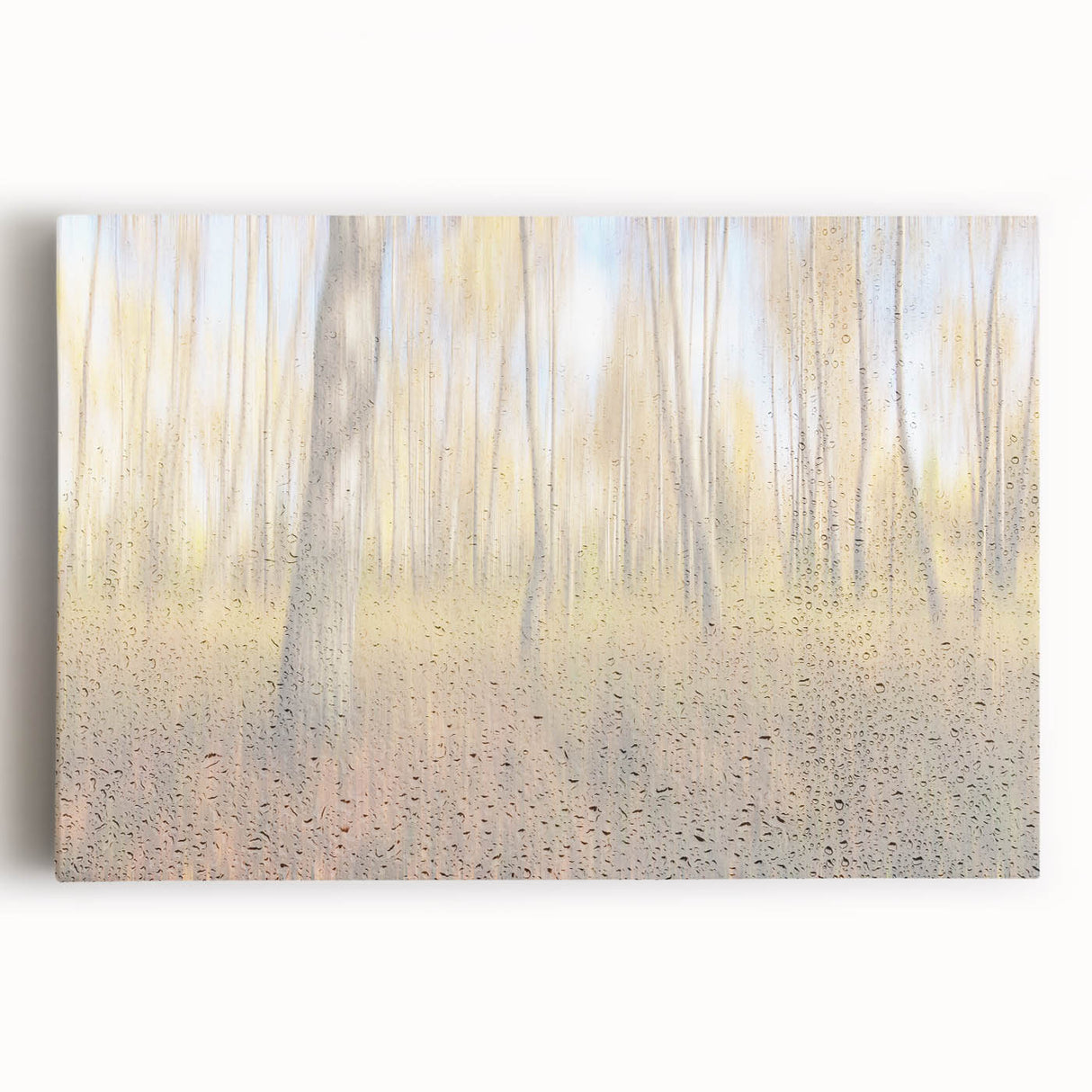 Tranquil Nature Canvas Prints – Rainy Forest Through Glass