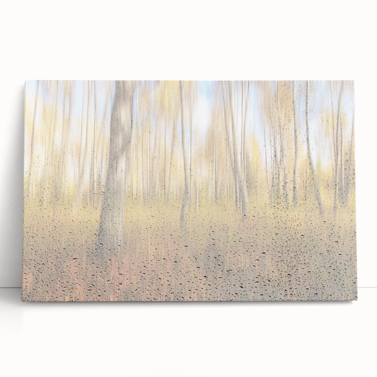Tranquil Nature Canvas Prints – Rainy Forest Through Glass