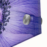Violet Anemone Macro - Fine Art Photography Framed Prints