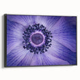 Violet Anemone Macro - Fine Art Photography Framed Prints