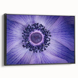 Violet Anemone Macro - Fine Art Photography Framed Prints