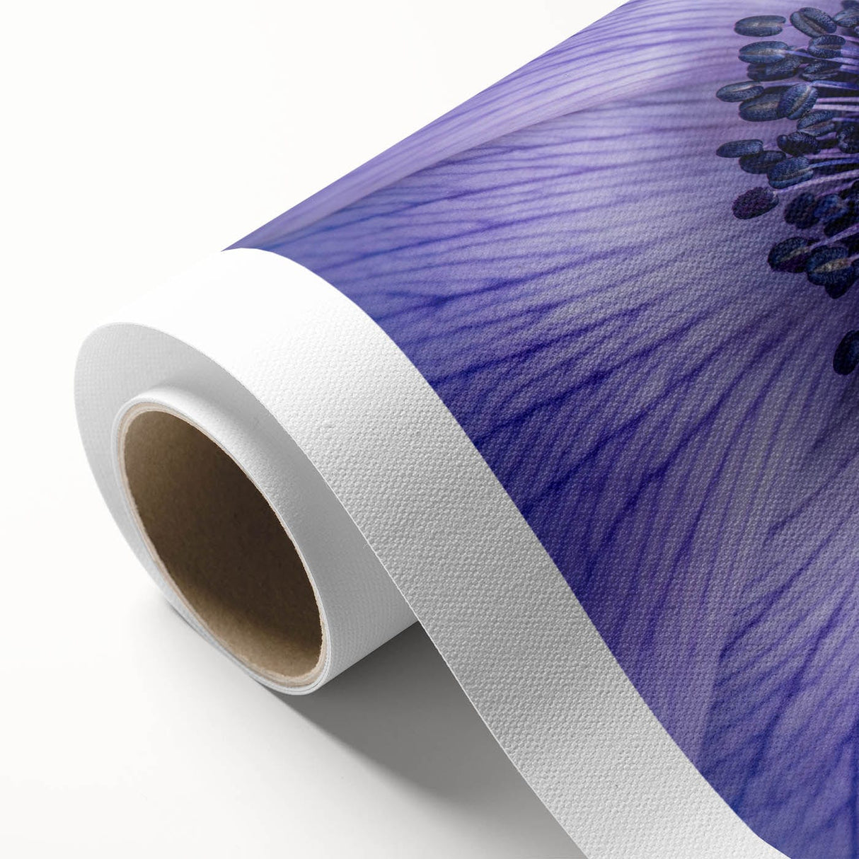 Violet Anemone Macro - Fine Art Photography Framed Prints