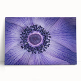 Violet Anemone Macro - Fine Art Photography Framed Prints