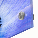Blue Anemone Macro - Fine Art Photography Acrylic Prints