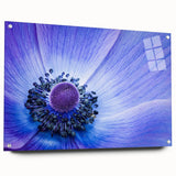 Blue Anemone Macro - Fine Art Photography Acrylic Prints