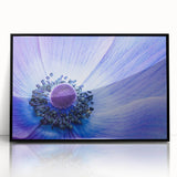 Blue Anemone Macro - Fine Art Photography Acrylic Prints