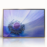 Blue Anemone Macro - Fine Art Photography Acrylic Prints
