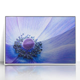 Blue Anemone Macro - Fine Art Photography Acrylic Prints