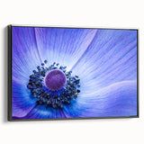 Blue Anemone Macro - Fine Art Photography Acrylic Prints