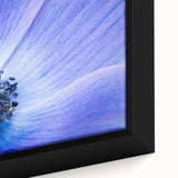 Blue Anemone Macro - Fine Art Photography Acrylic Prints