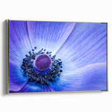 Blue Anemone Macro - Fine Art Photography Acrylic Prints