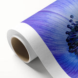 Blue Anemone Macro - Fine Art Photography Acrylic Prints