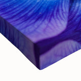 Blue Anemone Macro - Fine Art Photography Acrylic Prints