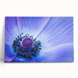 Blue Anemone Macro - Fine Art Photography Acrylic Prints
