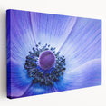 Blue Anemone Macro - Fine Art Photography Acrylic Prints