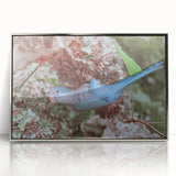 Blue Parrot in Hydrangeas - Fine Art Photography Canvas Prints