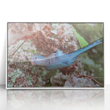 Blue Parrot in Hydrangeas - Fine Art Photography Canvas Prints