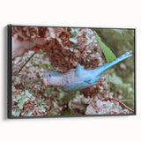 Blue Parrot in Hydrangeas - Fine Art Photography Canvas Prints