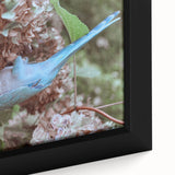Blue Parrot in Hydrangeas - Fine Art Photography Canvas Prints