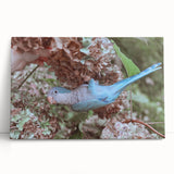 Blue Parrot in Hydrangeas - Fine Art Photography Canvas Prints