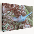 Blue Parrot in Hydrangeas - Fine Art Photography Canvas Prints