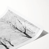 Urban Landscape Photography Decor – Contemporary City Wall Art