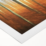 Abstract Minimalist Landscape Painting – Golden Forest Blur Print