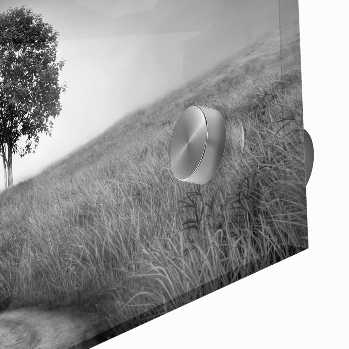 Minimalist Landscape Wall Art – Black and White Tree Scene Print