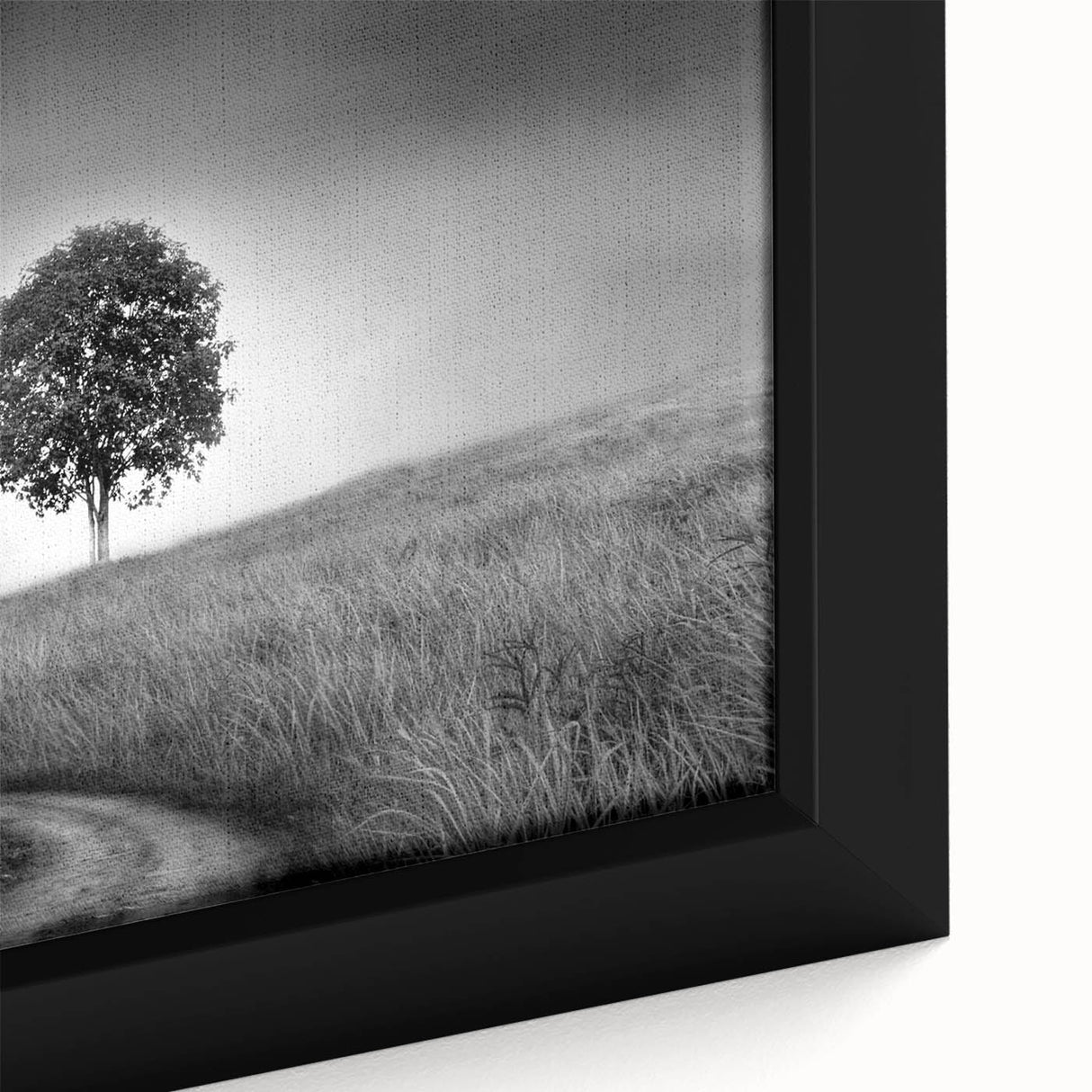 Minimalist Landscape Wall Art – Black and White Tree Scene Print