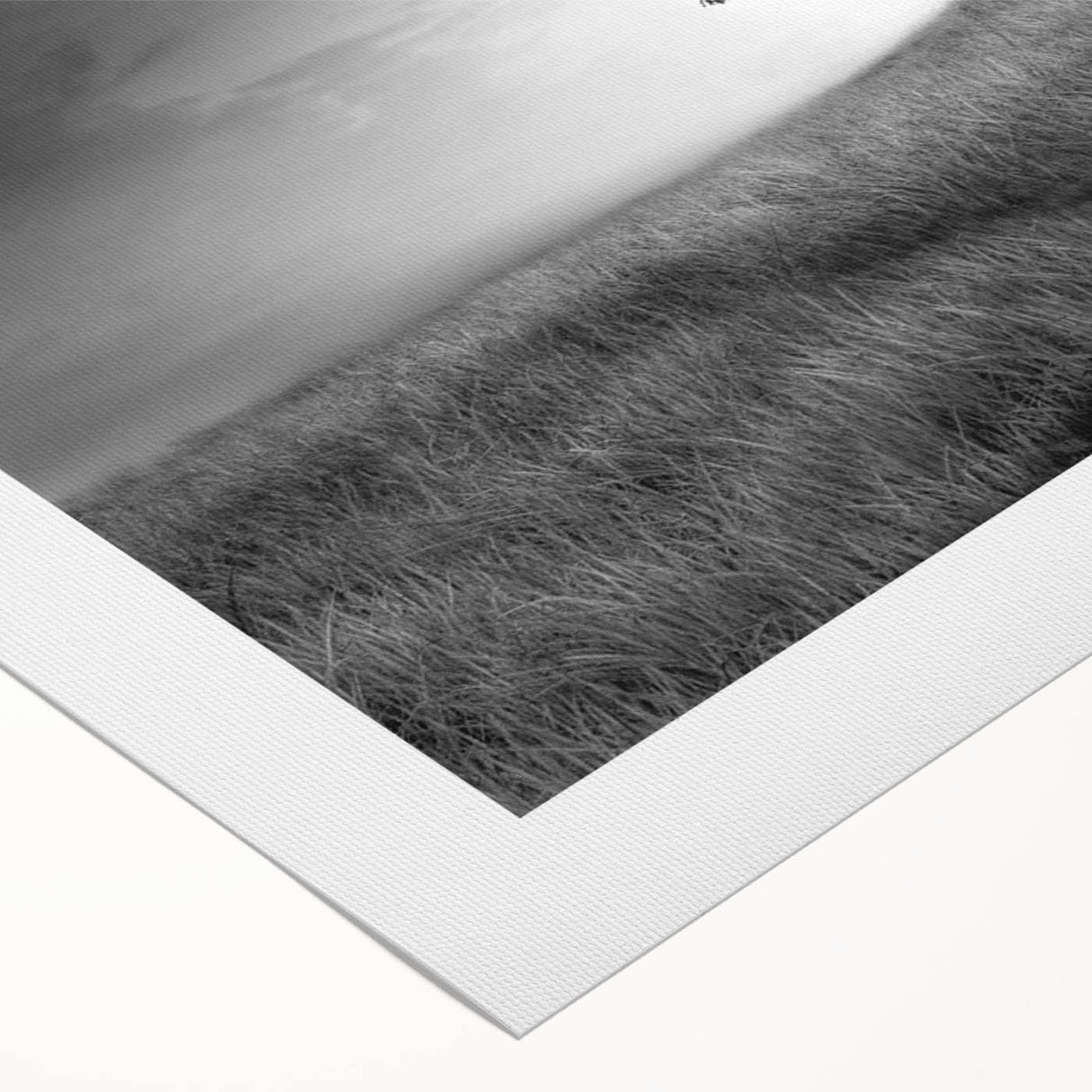 Minimalist Landscape Wall Art – Black and White Tree Scene Print