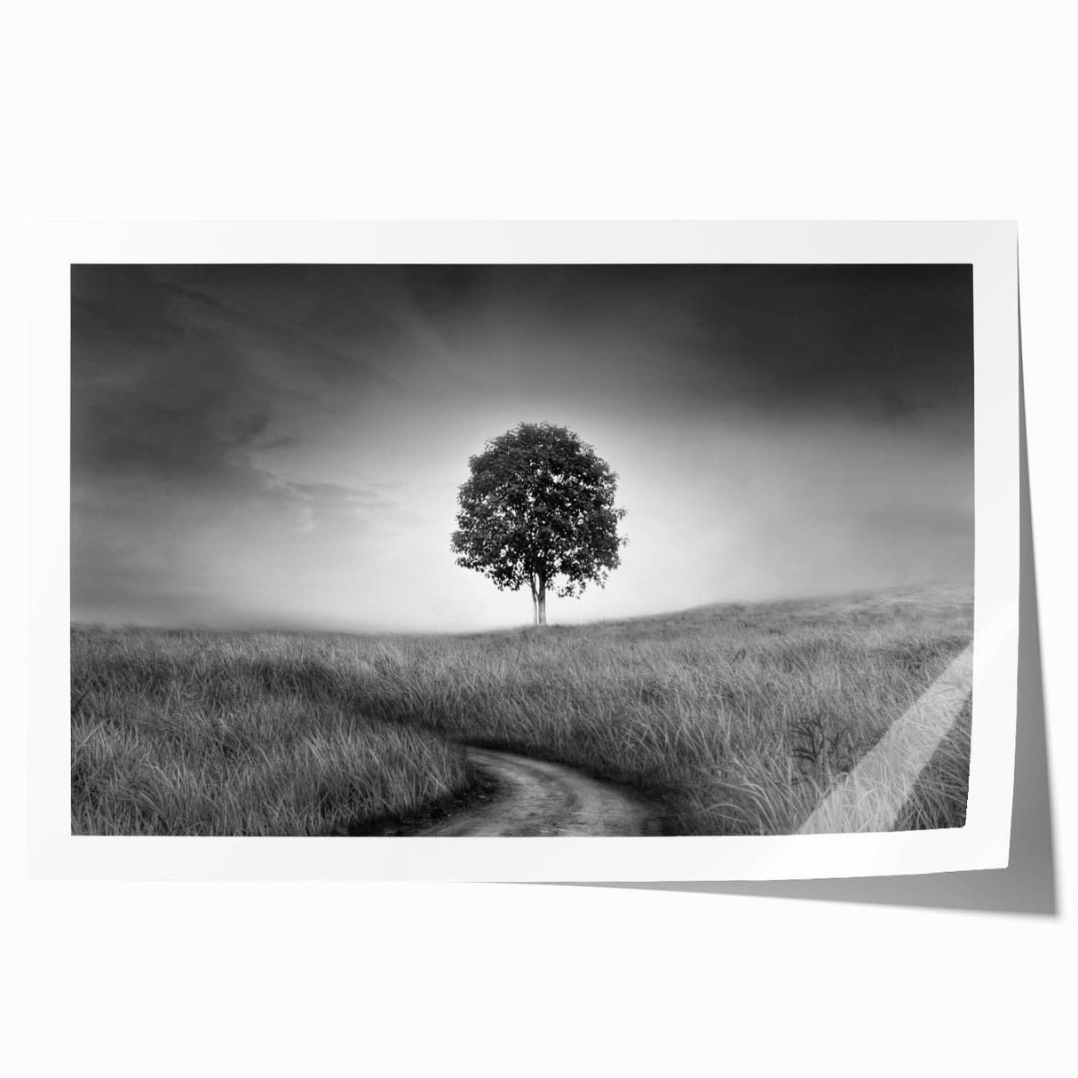 Minimalist Landscape Wall Art – Black and White Tree Scene Print