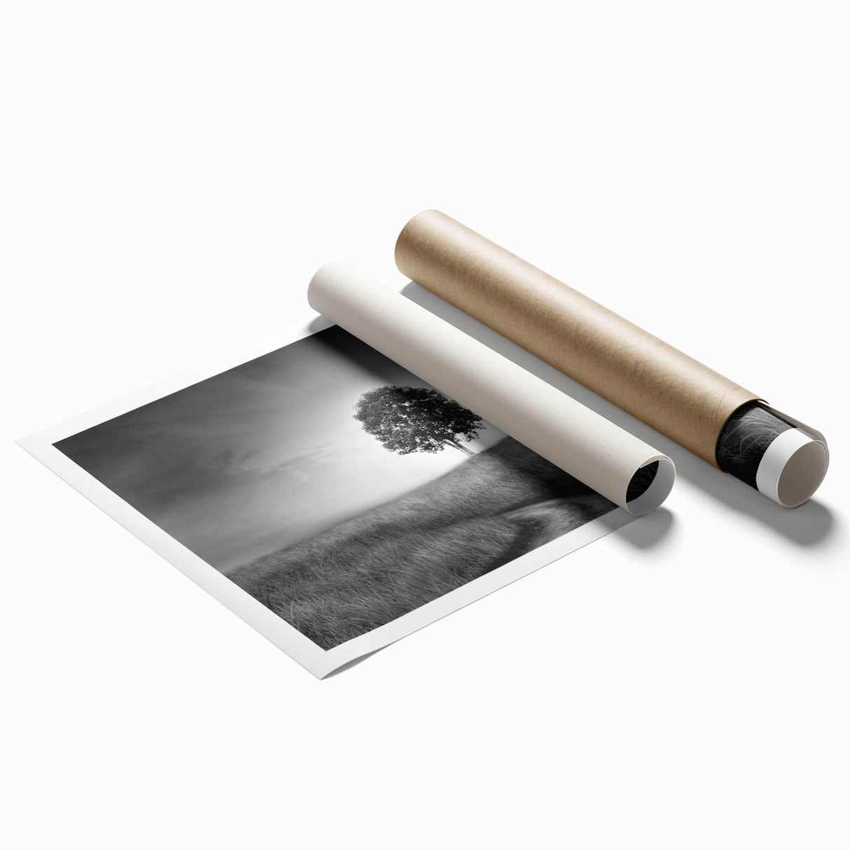 Minimalist Landscape Wall Art – Black and White Tree Scene Print