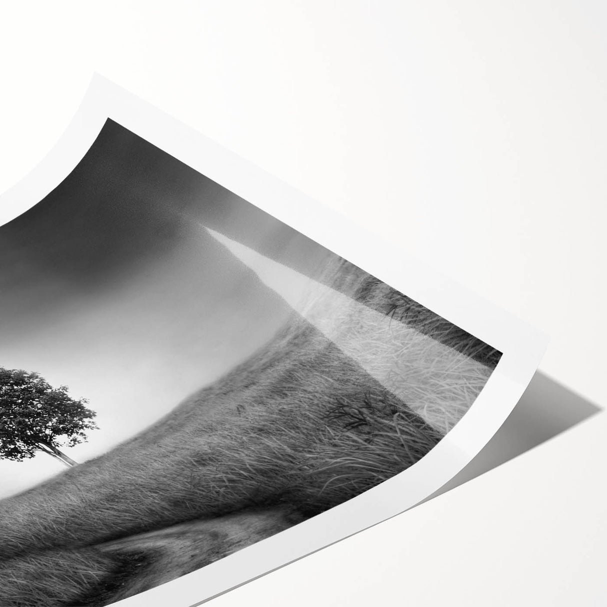 Minimalist Landscape Wall Art – Black and White Tree Scene Print