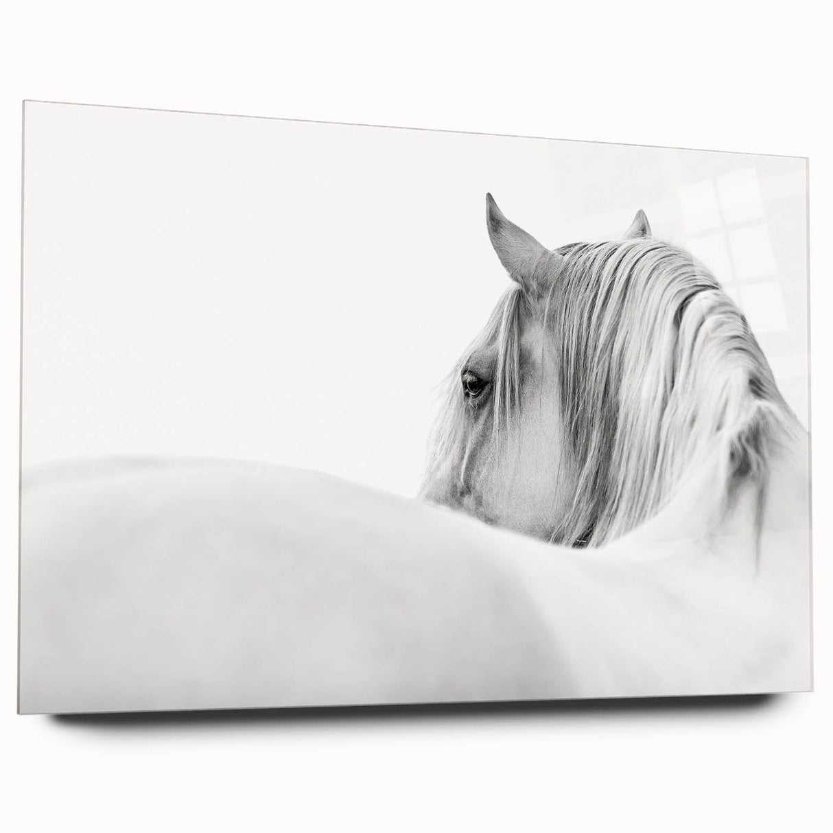 Elegant White Horse - Fine Art Photography Framed Prints