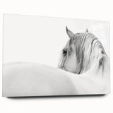 Elegant White Horse - Fine Art Photography Framed Prints
