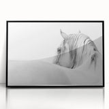 Elegant White Horse - Fine Art Photography Framed Prints
